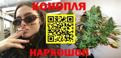 прущие грибы Обь